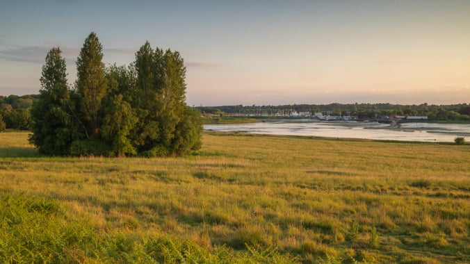 Sunrise at Little Haugh, on the banks of River Deben at Sutton Hoo, Suffolk, with a clump of trees on the left on a grassy field running to the river